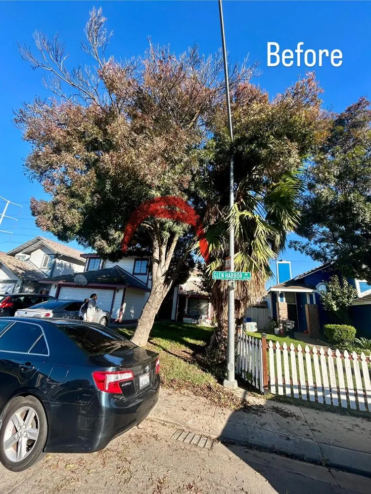 Top-rated landscaping services experts serving Ceres, CA - Macias Landscaping & Paving