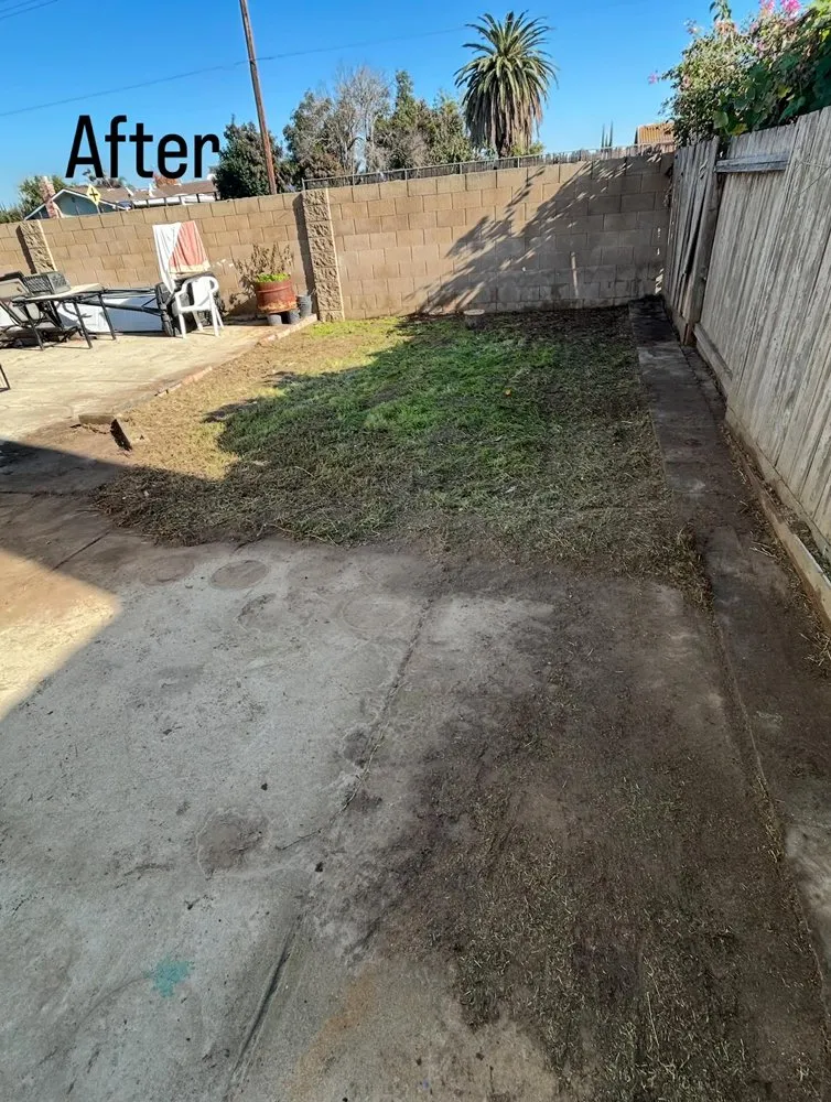 Reliable yard cleanup service in Ceres, CA by Macias Landscaping & Paving