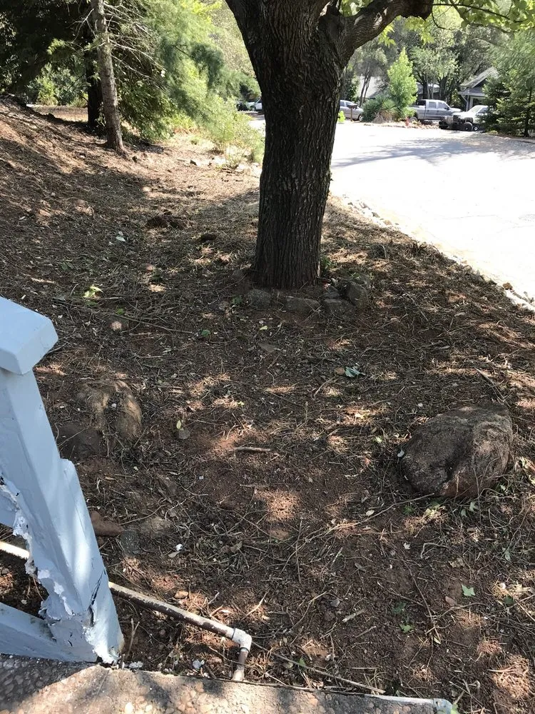 Trusted lawn care service in Cameron Park, CA - Macias Landscaping