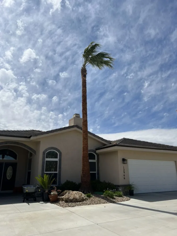 Custom landscaping services in Hesperia, CA by Macias Landscaping