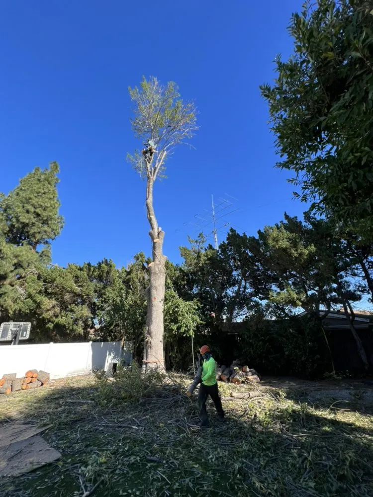 Custom outdoor landscaping in Hesperia, CA by Macias Landscaping