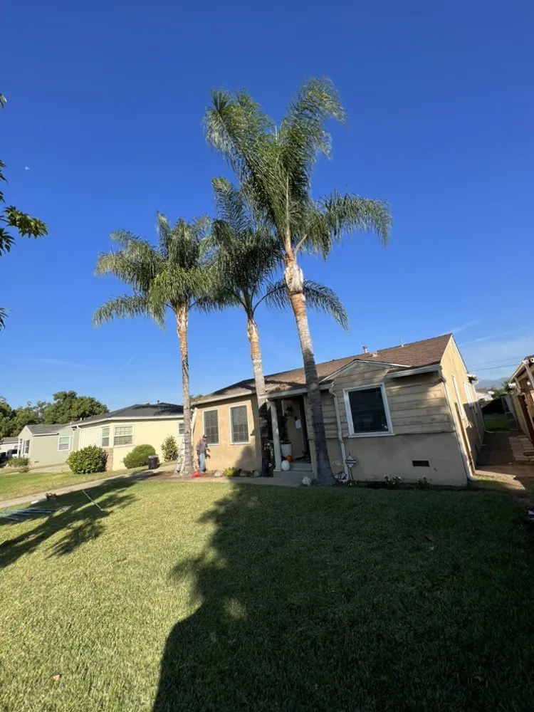 Local landscaping services in Hesperia, CA by Macias Landscaping