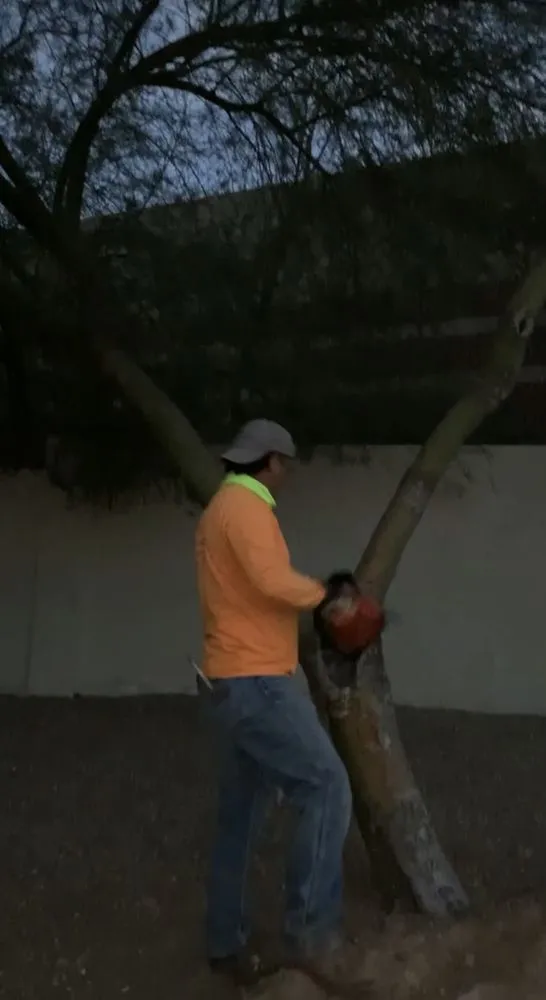 Top-rated landscape installation for beautiful yards in Mesa, AZ by Macias Landscaping