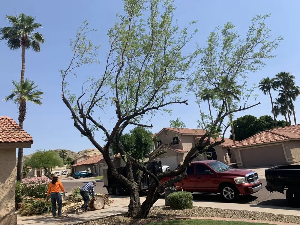 Custom outdoor landscaping experts serving Mesa, AZ - Macias Landscaping