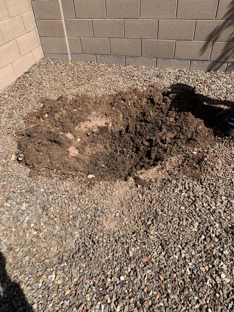 Reliable landscape design in Mesa, AZ by Macias Landscaping