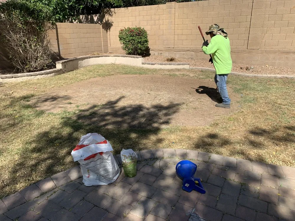 Custom yard cleanup service experts serving Mesa, AZ - Macias Landscaping