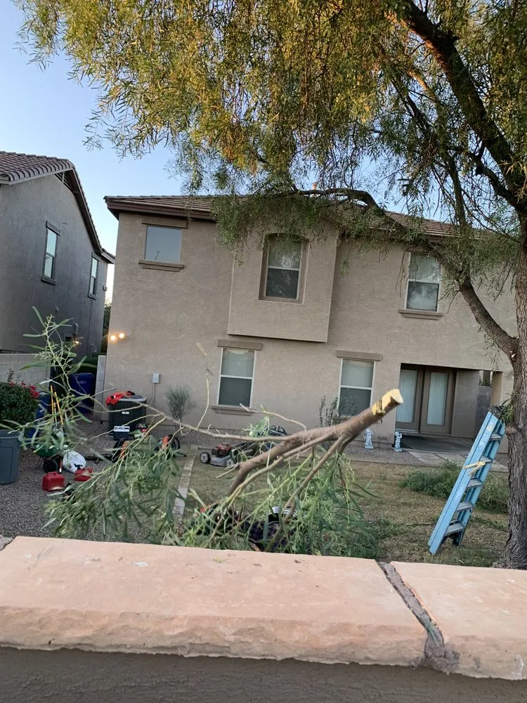 Local lawn care service for year-round maintenance in Mesa, AZ by Macias Landscaping