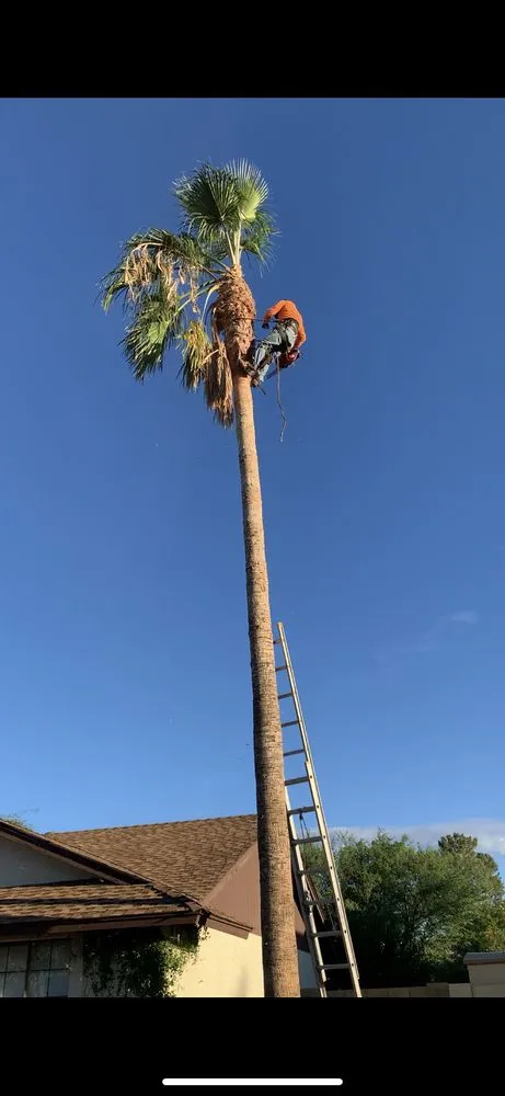 Expert lawn mowing service for outdoor upgrades in Mesa, AZ by Macias Landscaping