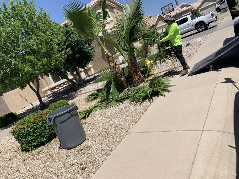 Local lawn mowing service in Mesa, AZ by Macias Landscaping