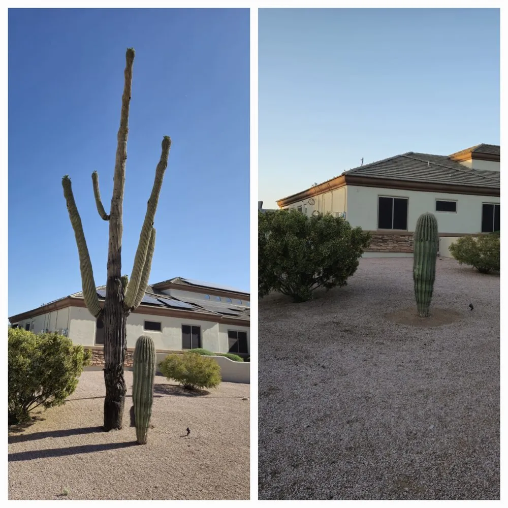 Top-rated lawn care service for residential properties across Mesa, AZ - Macias Landscaping