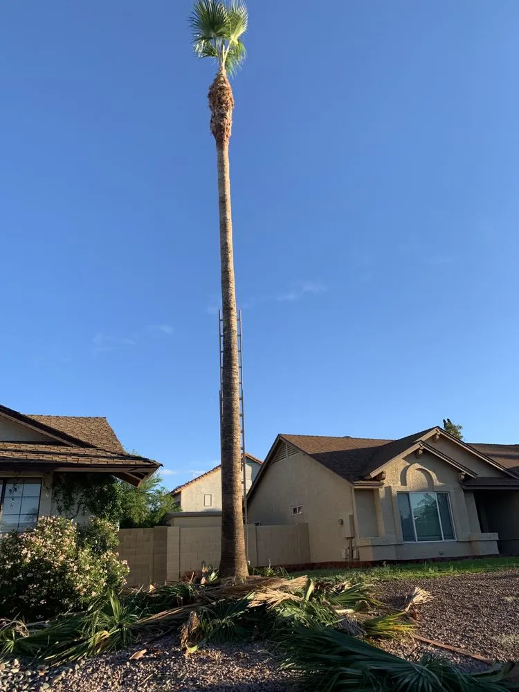 Affordable outdoor landscaping experts serving Mesa, AZ - Macias Landscaping