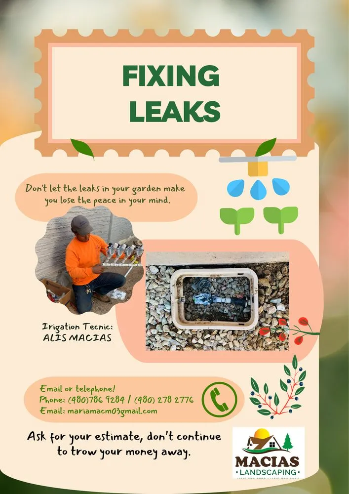 Trusted landscaping services in Mesa, AZ by Macias Landscaping