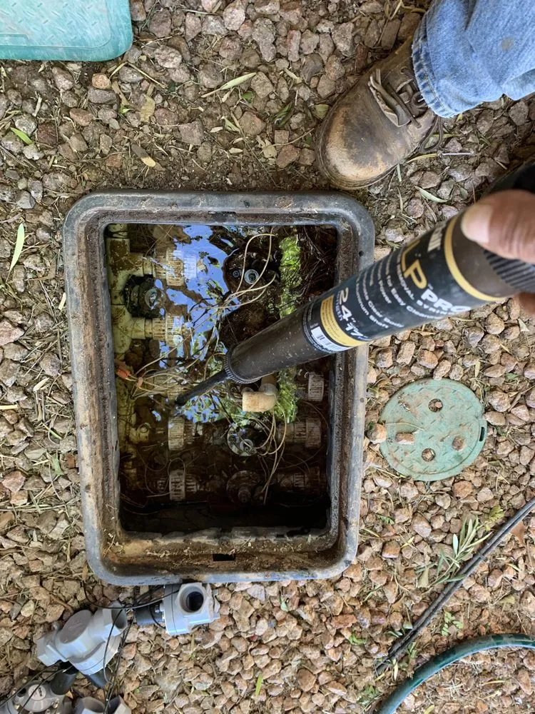 Expert residential landscaping experts serving Mesa, AZ - Macias Landscaping