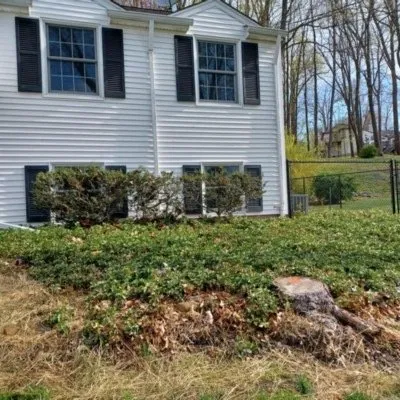 Professional yard cleanup service for outdoor upgrades across Morris Plains, NJ - Macias Landscaping Services