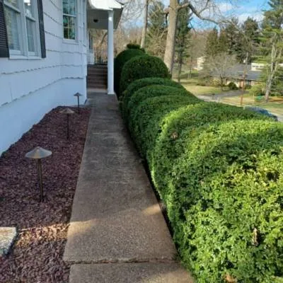 Professional yard maintenance in Morris Plains, NJ - Macias Landscaping Services