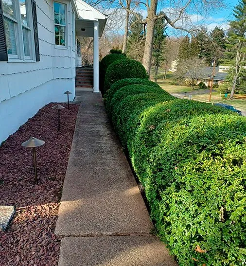 Custom yard maintenance for homes across Morris Plains, NJ - Macias Landscaping Services