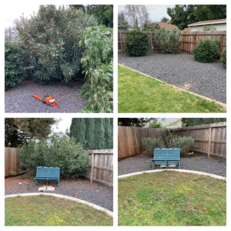 Local landscape design in Stockton, CA - Macias Lawn & Garden Services