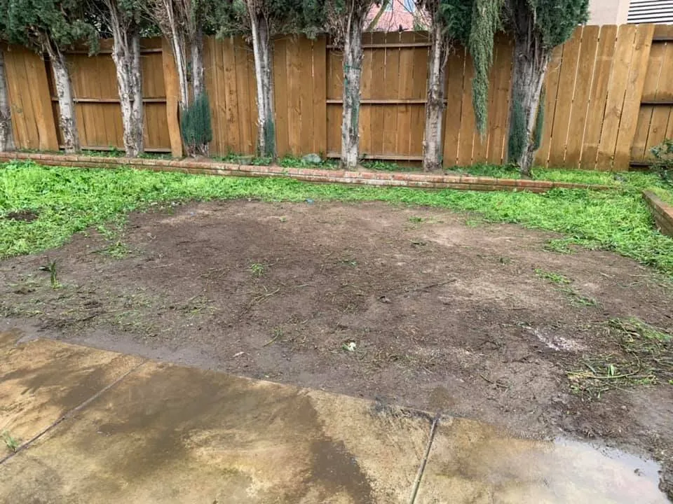 Trusted yard maintenance in Stockton, CA - Macias Lawn & Garden Services