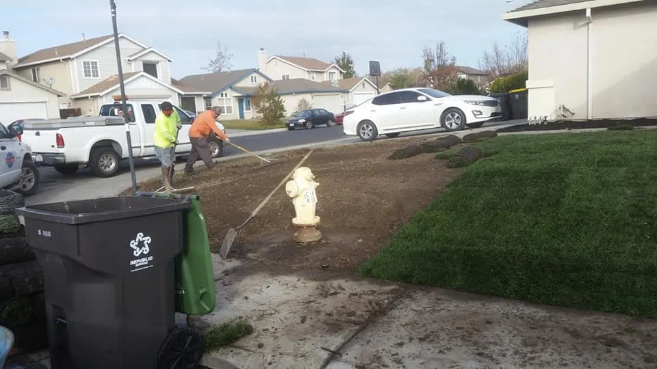 Expert yard cleanup service in Stockton, CA - Macias Lawn & Garden Services