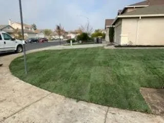 Trusted landscaping services for beautiful yards across Stockton, CA - Macias Lawn & Garden Services