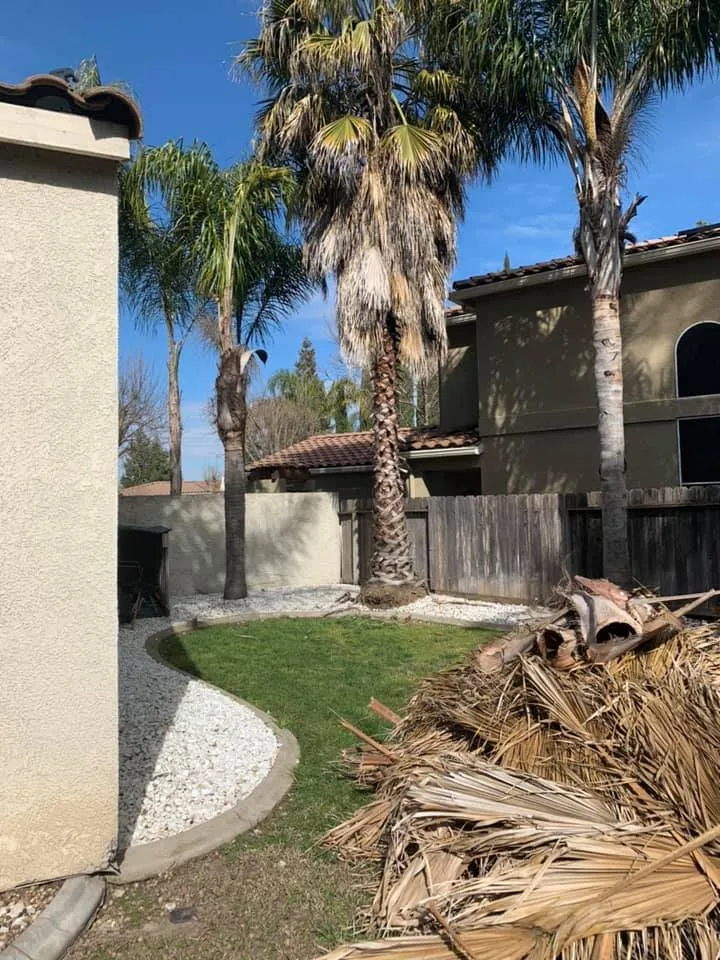 Trusted residential landscaping near you in Stockton, CA by Macias Lawn & Garden Services