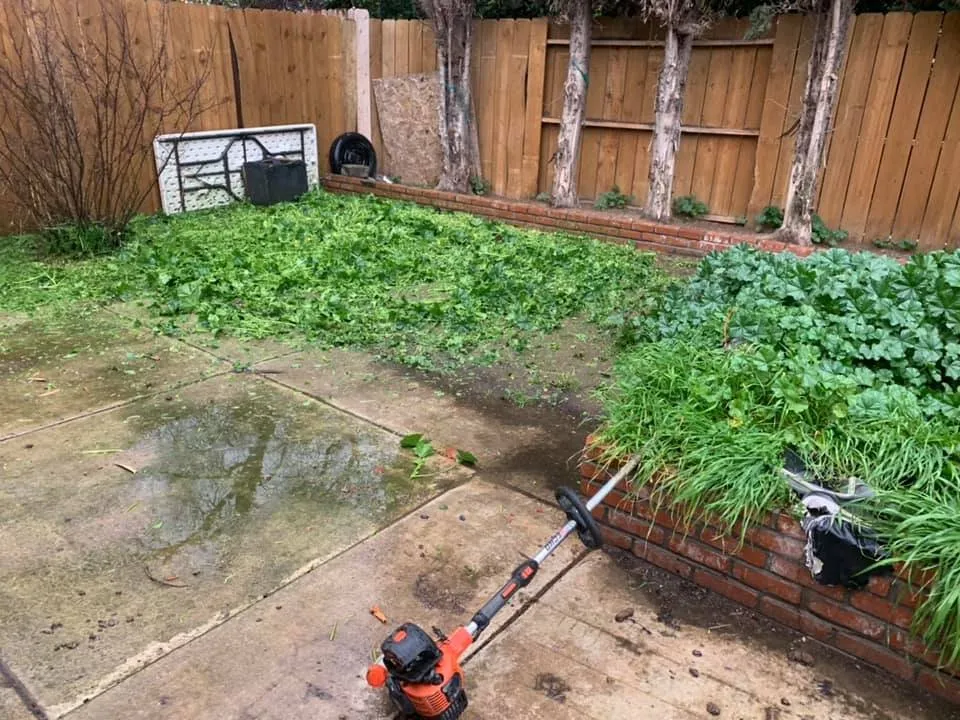 Expert garden landscaping in Stockton, CA - Macias Lawn & Garden Services