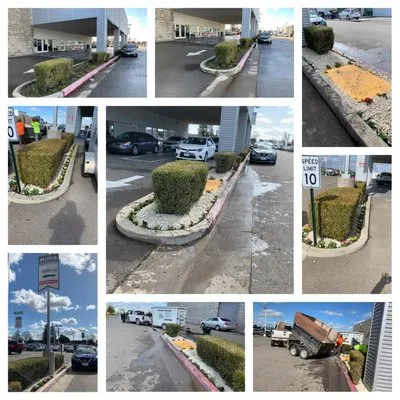 Macias Lawn & Garden Services Logo