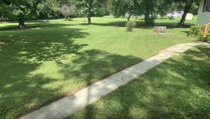 Expert lawn mowing service in Richmond, VA - Macias Lawn Care