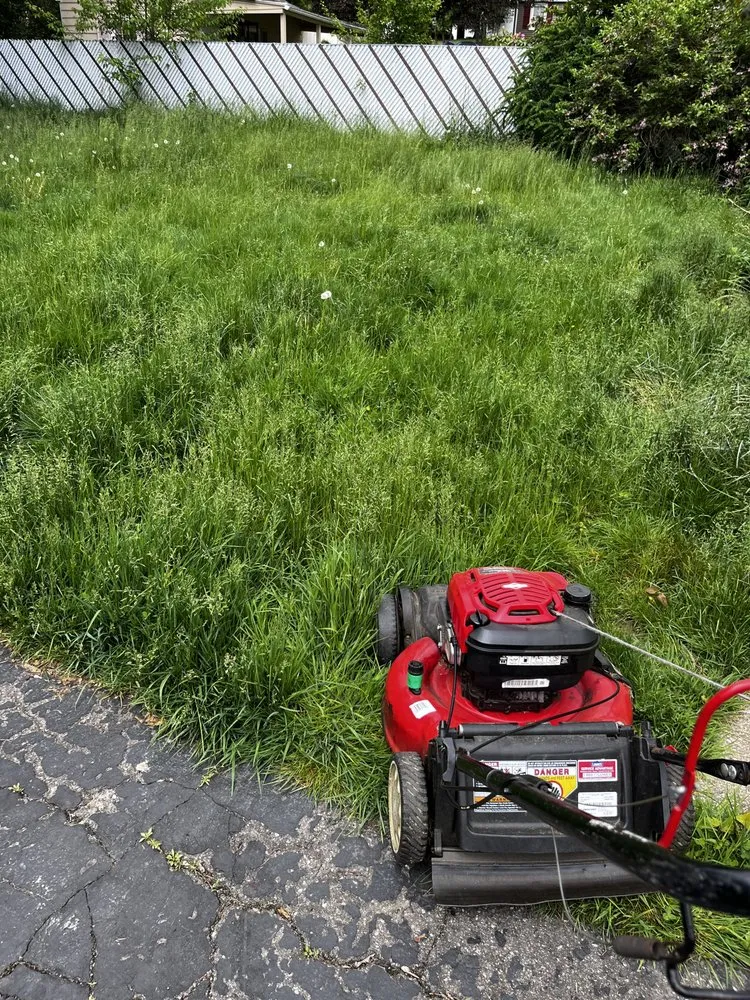 Local landscape design in Elmira, NY by Maciek’s Landscaping