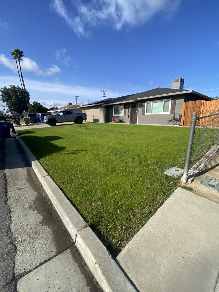 Reliable yard cleanup service in Bakersfield, CA by Maciel Landscaping
