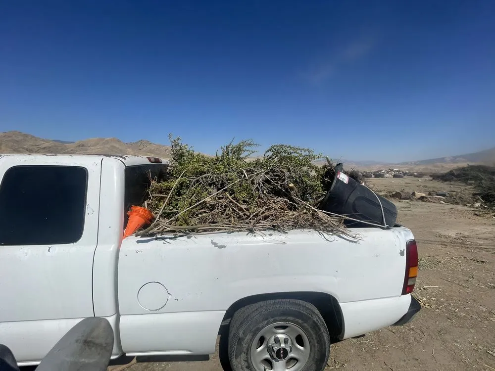 Affordable lawn mowing service near you across Bakersfield, CA - Maciel Landscaping