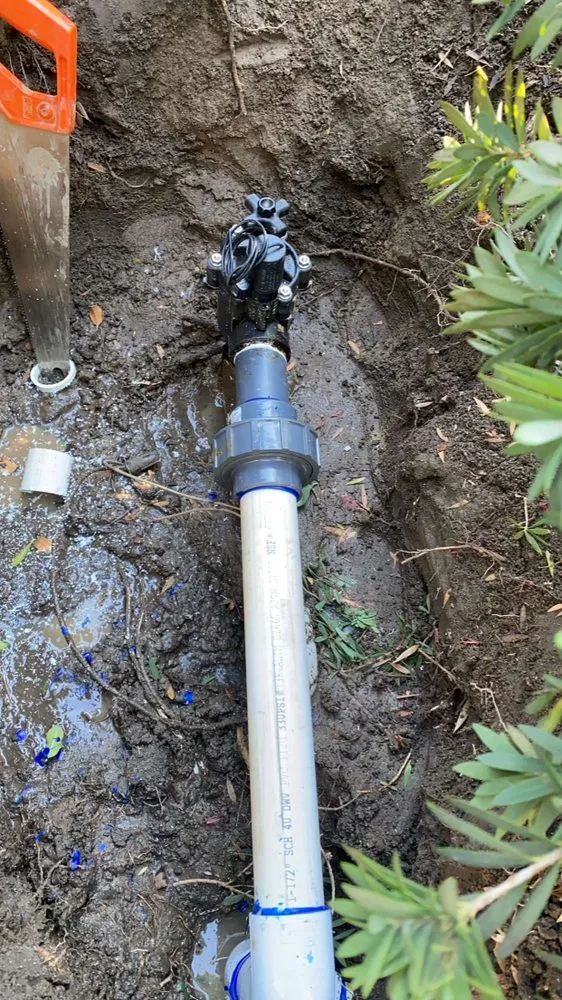 Trusted residential landscaping experts serving Bakersfield, CA - Maciel Landscaping