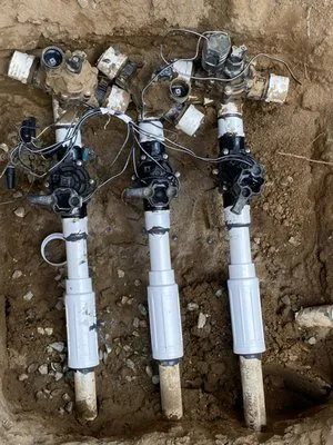 Maciel Landscaping Logo