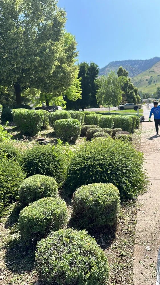 Affordable yard cleanup service in Nibley, UT - Maciel Lawn Care