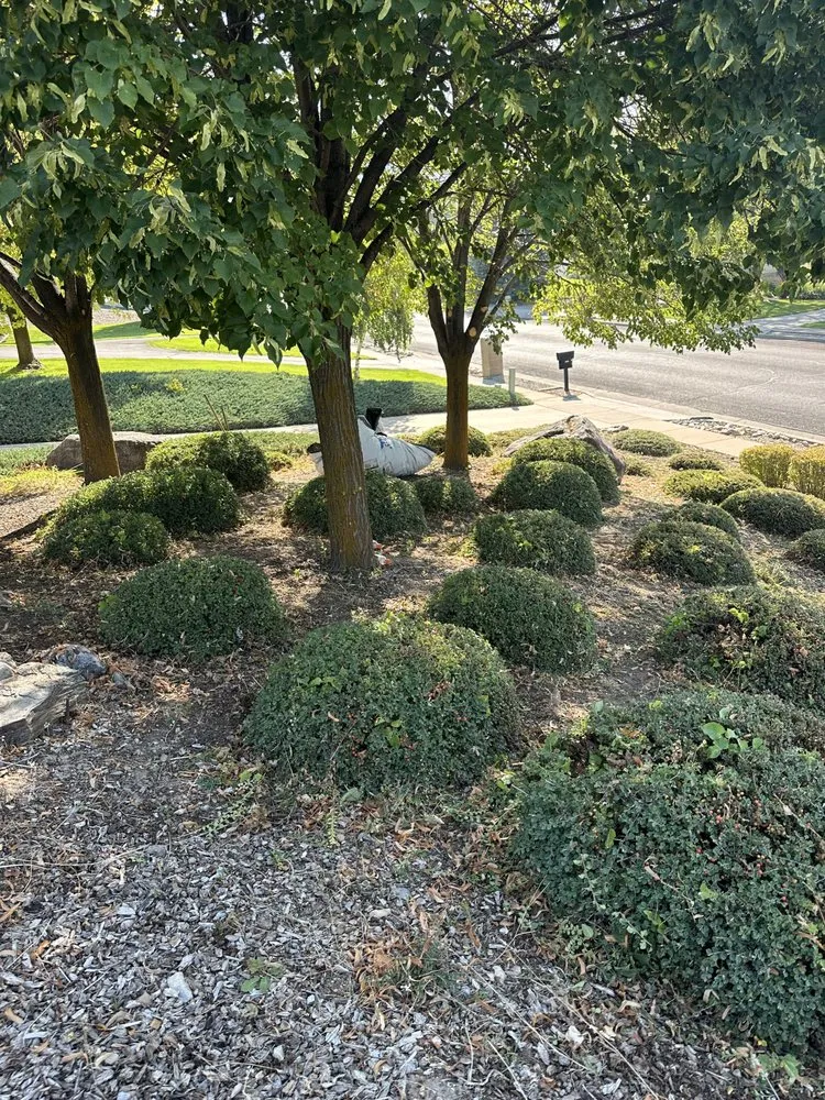Top-rated garden landscaping in Nibley, UT by Maciel Lawn Care