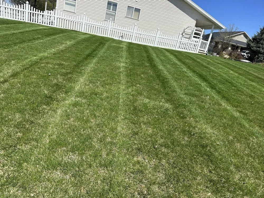 Reliable yard cleanup service experts serving Nibley, UT - Maciel Lawn Care
