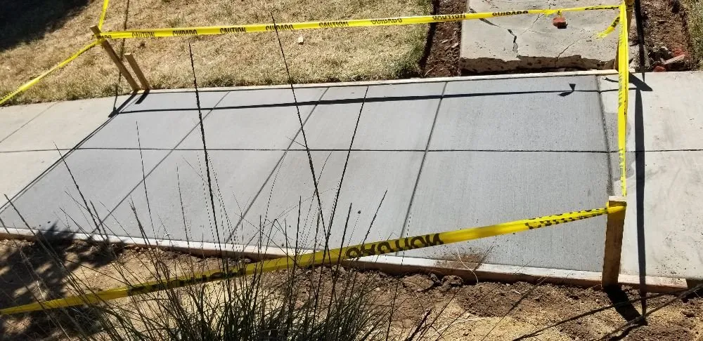 Professional yard cleanup service in San Jose, CA by Maciels Professinal