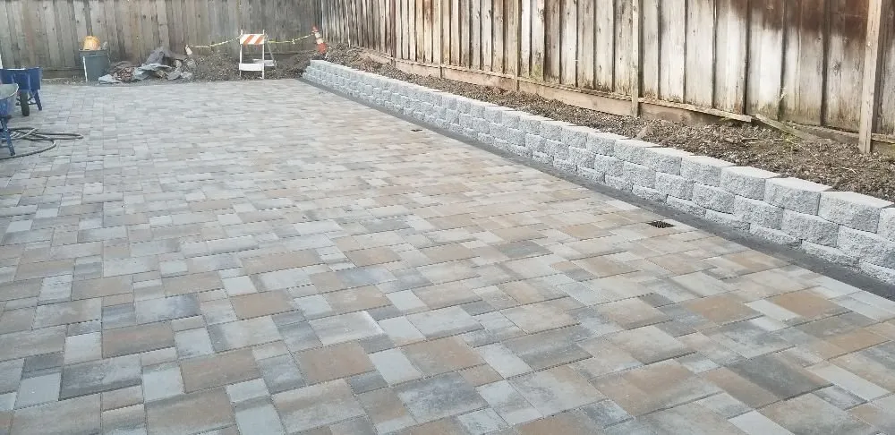 Local yard cleanup service in San Jose, CA by Maciels Professinal