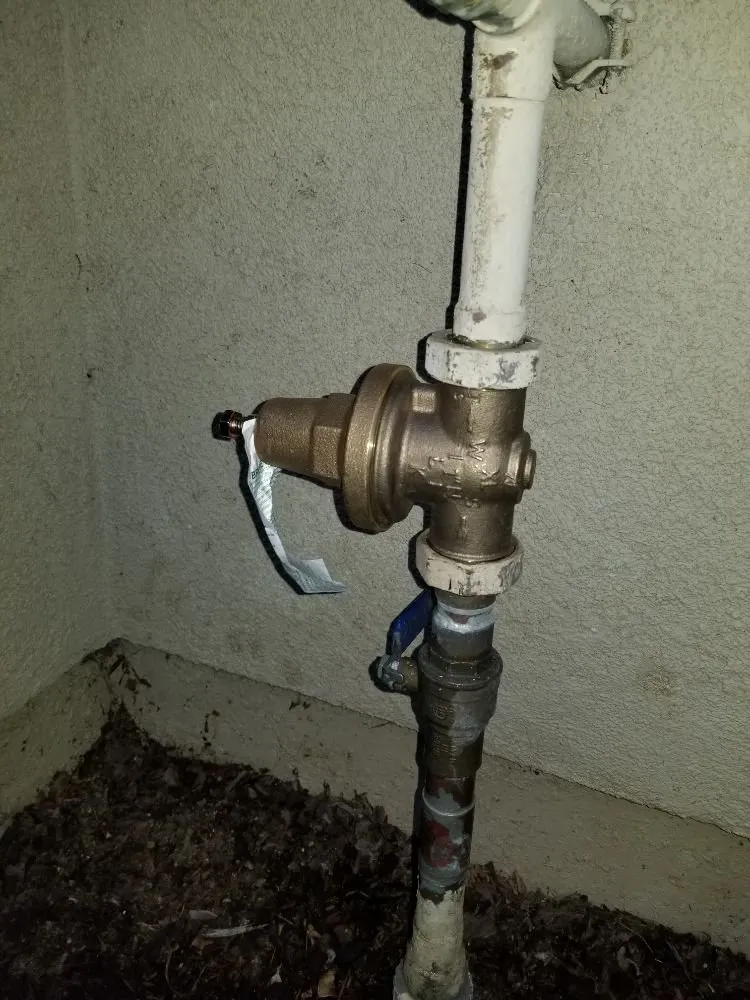 Local residential landscaping in San Jose, CA by Maciels Professinal