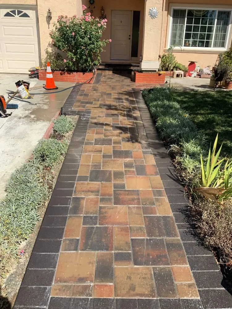 Reliable yard maintenance in San Jose, CA by Maciels Professinal