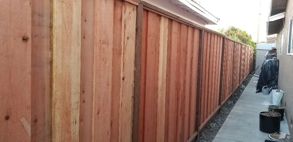 Local lawn care service in San Jose, CA by Maciels Professinal