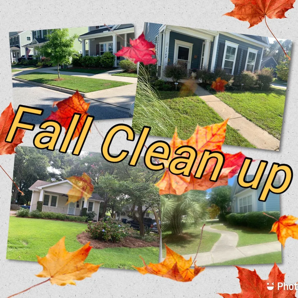 Top-rated lawn care service in Ravenel, SC - Mack Landscape & Design