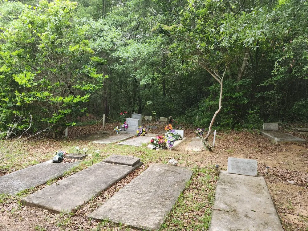 Expert yard cleanup service for year-round maintenance in Atlanta, GA by Mack Landscaping and Gardens Services