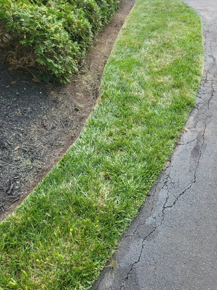 Top-rated yard maintenance experts serving Penllyn, PA - Mack Maintenance & Landscape