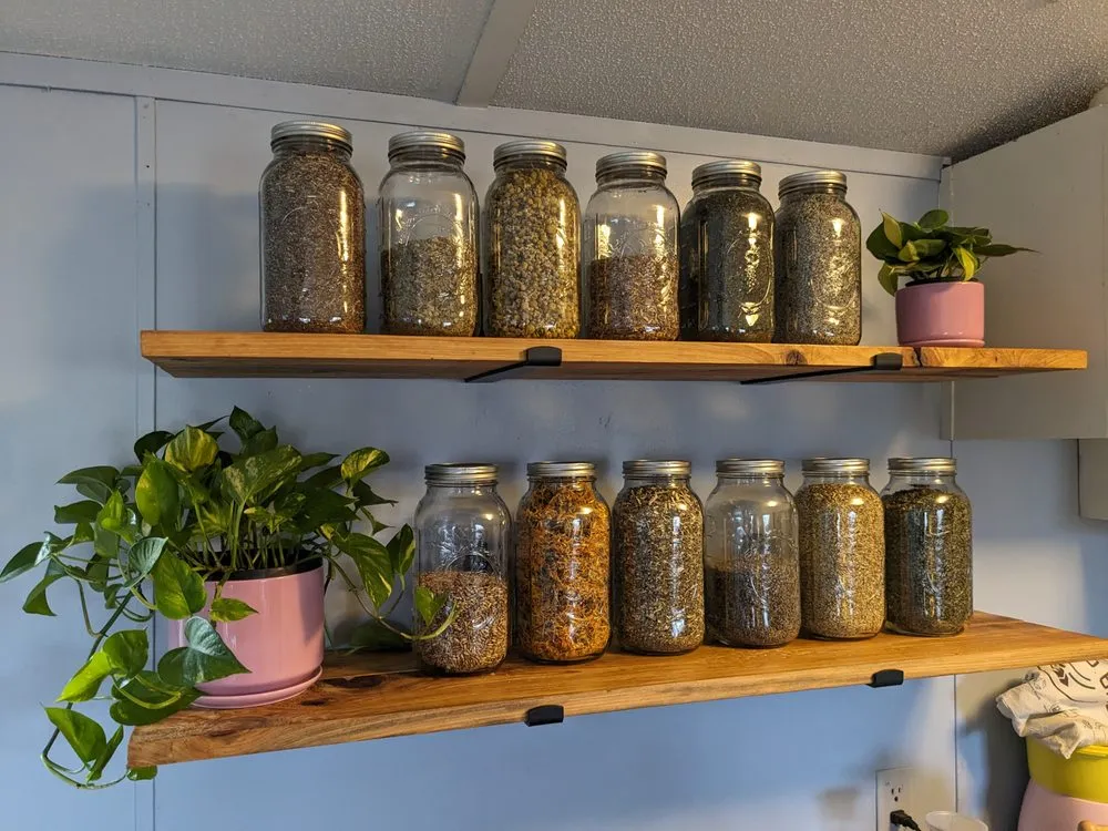 Professional lawn care service for beautiful yards across Martin, TN - Mack of All Trades