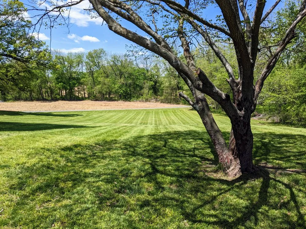 Reliable landscaping services in Martin, TN - Mack of All Trades