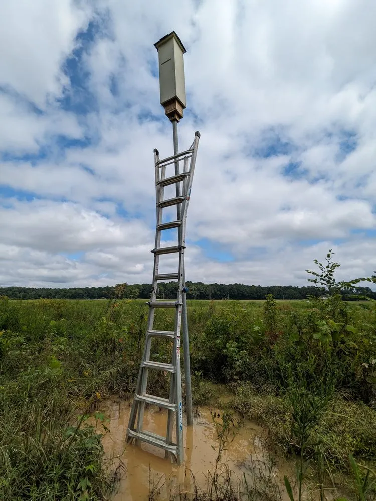 Professional lawn care service in Martin, TN by Mack of All Trades