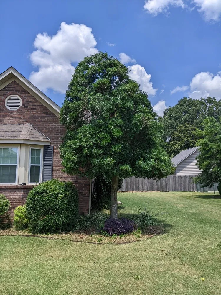 Affordable lawn mowing service experts serving Martin, TN - Mack of All Trades