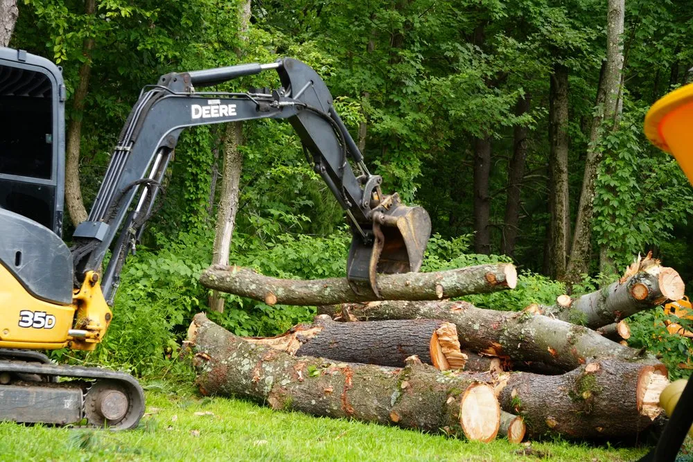 Local landscaping services experts serving Westerlo, NY - Mack Tree Service