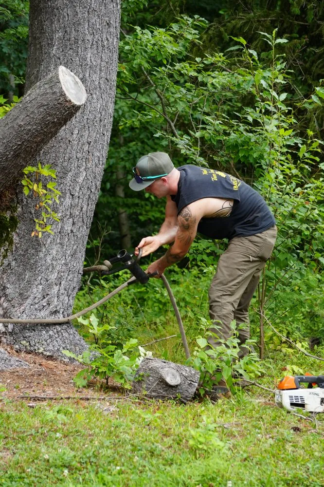 Expert landscape installation for year-round maintenance in Westerlo, NY by Mack Tree Service